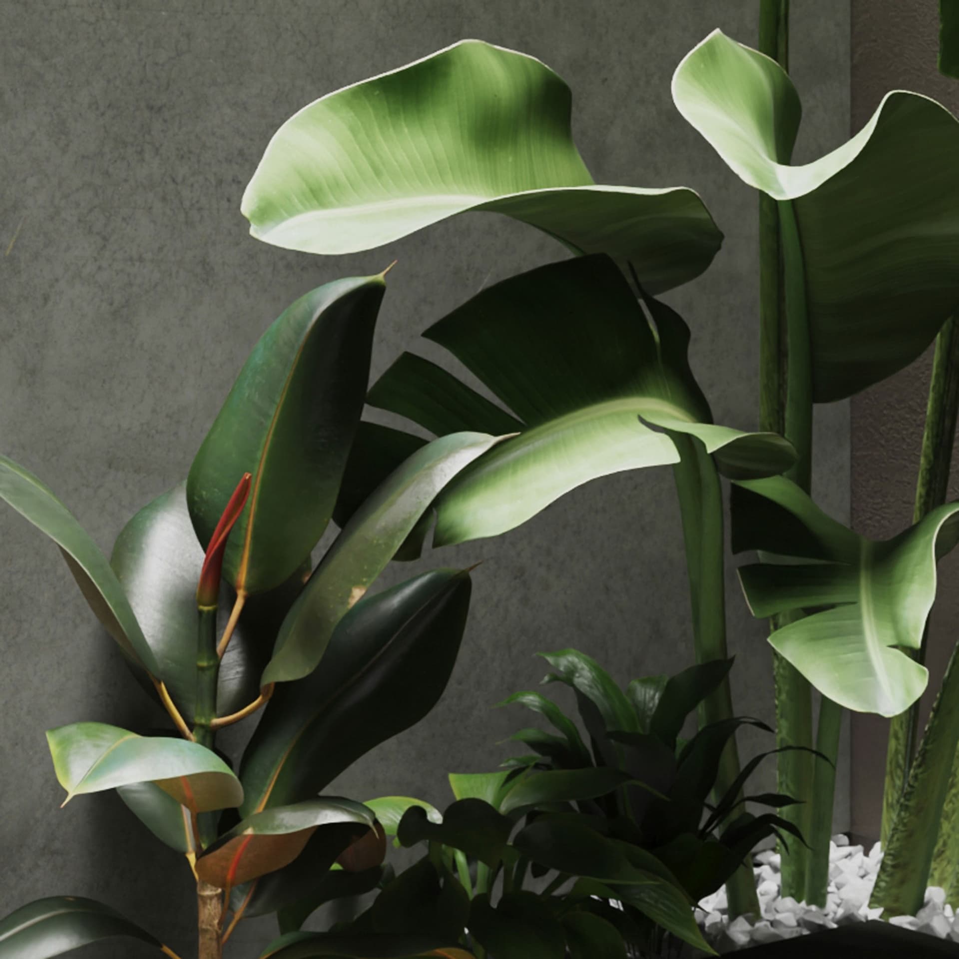 Управление через приложение и пульт ДУ