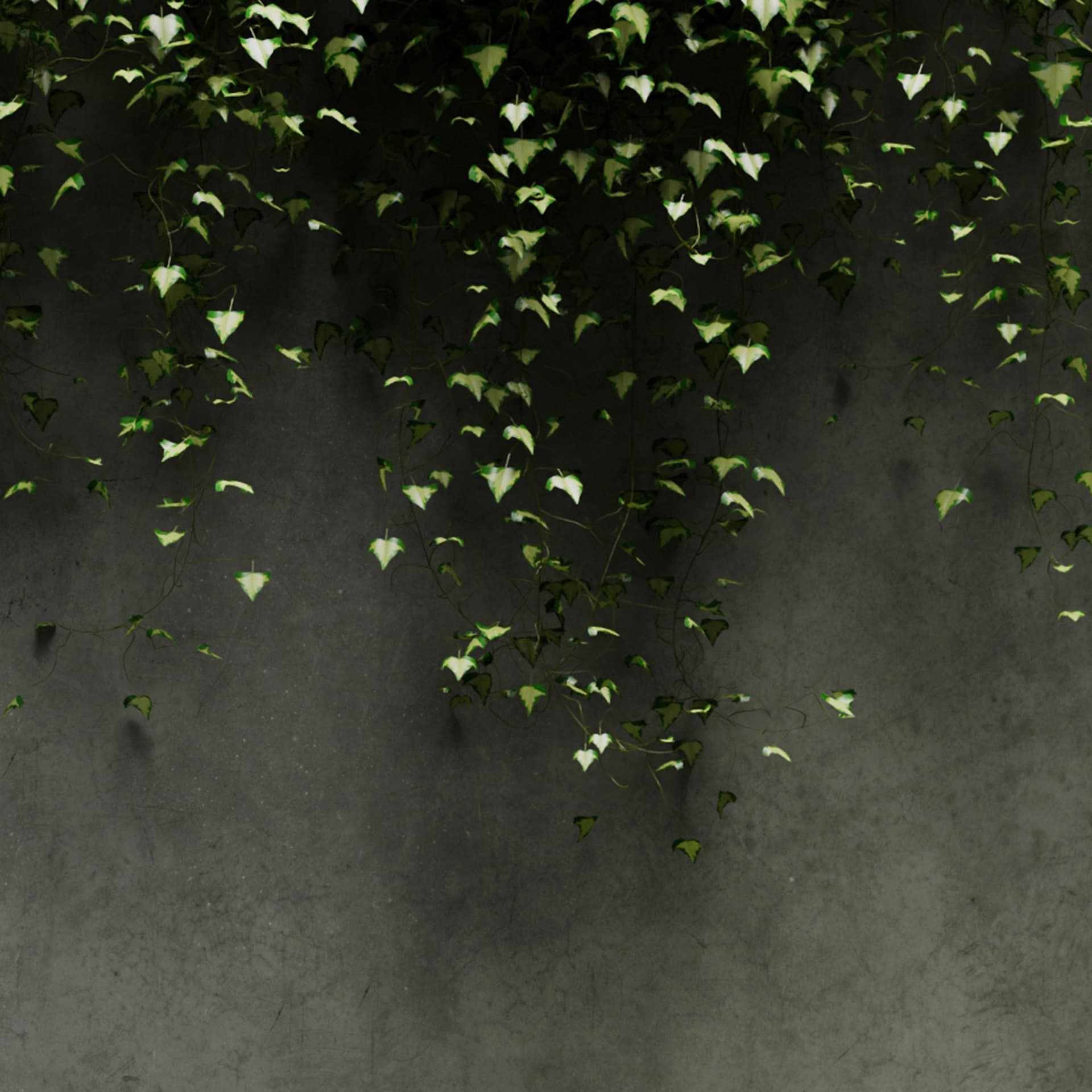 Самоочищающаяся душевая насадка