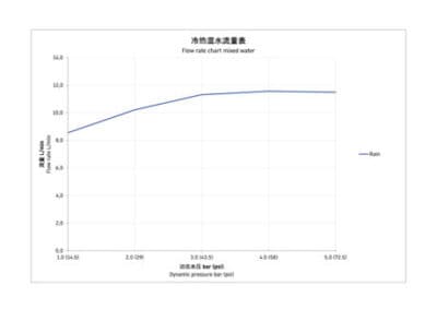 Верхний душ 10